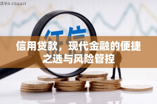 静乐信用贷款，现代金融的便捷之选与风险管控