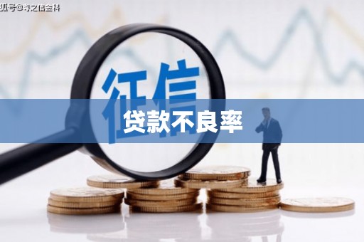 静乐贷款不良率