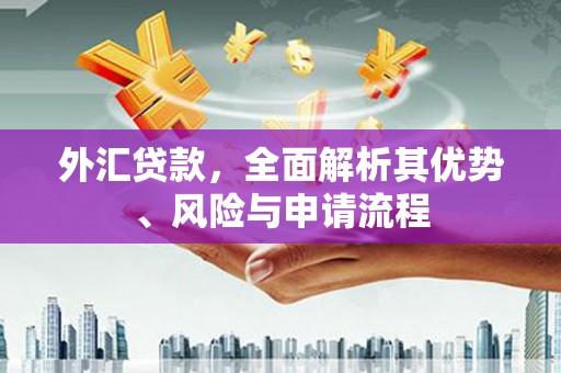 静乐外汇贷款，全面解析其优势、风险与申请流程