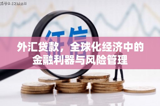 静乐外汇贷款，全球化经济中的金融利器与风险管理