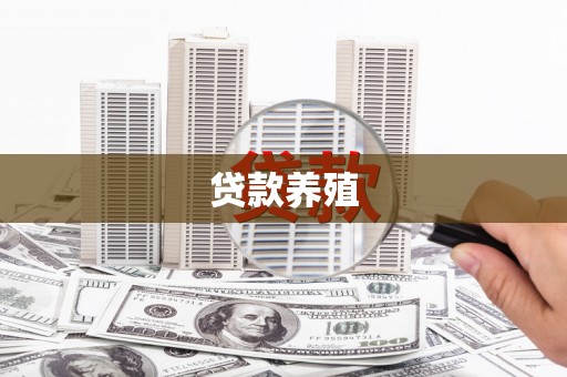 静乐贷款养殖