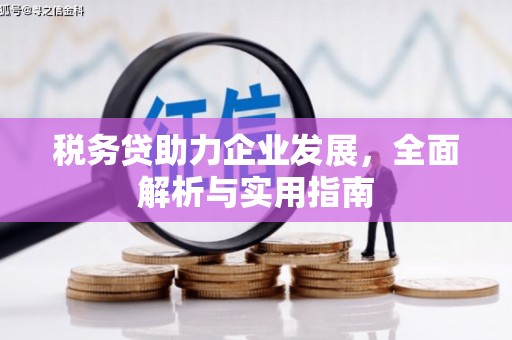 静乐税务贷助力企业发展，全面解析与实用指南