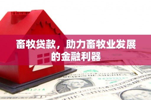 静乐畜牧贷款，助力畜牧业发展的金融利器