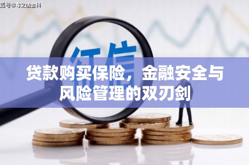 静乐贷款购买保险，金融安全与风险管理的双刃剑