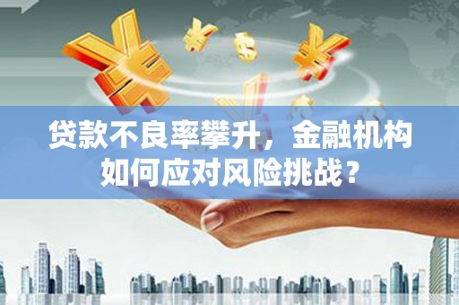 静乐贷款不良率攀升，金融机构如何应对风险挑战？