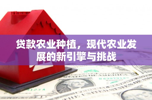 静乐贷款农业种植，现代农业发展的新引擎与挑战