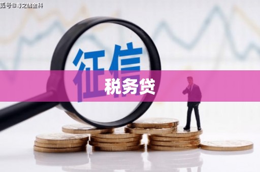 静乐税务贷
