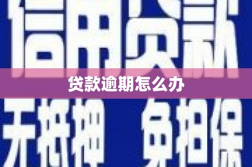 静乐贷款逾期怎么办