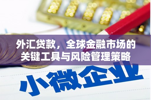 静乐外汇贷款，全球金融市场的关键工具与风险管理策略