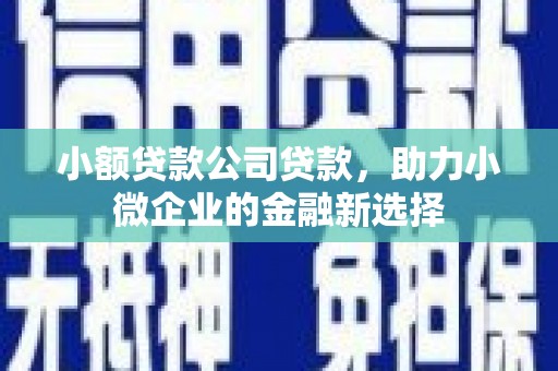 静乐小额贷款公司贷款，助力小微企业的金融新选择