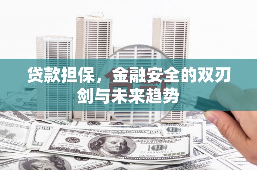 静乐贷款担保，金融安全的双刃剑与未来趋势