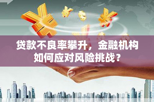 静乐贷款不良率攀升，金融机构如何应对风险挑战？