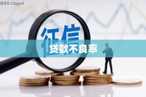 静乐贷款不良率
