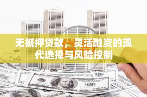 静乐无抵押贷款，灵活融资的现代选择与风险控制