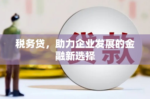 静乐税务贷，助力企业发展的金融新选择
