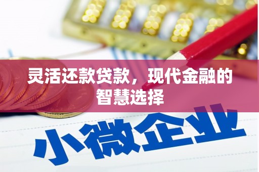 静乐灵活还款贷款，现代金融的智慧选择
