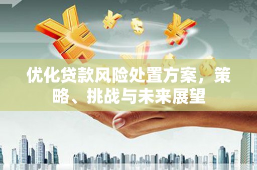 静乐优化贷款风险处置方案，策略、挑战与未来展望