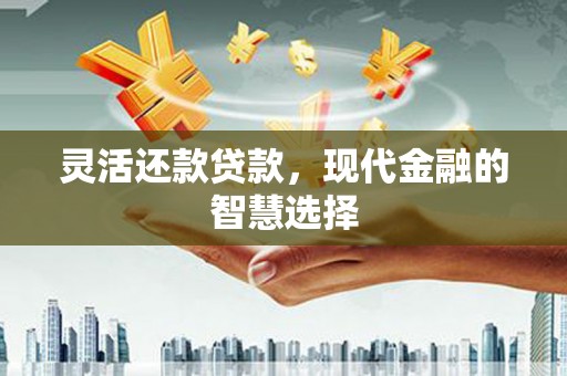 静乐灵活还款贷款，现代金融的智慧选择