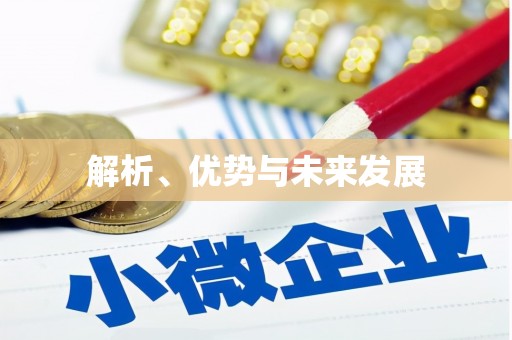 静乐解析、优势与未来发展