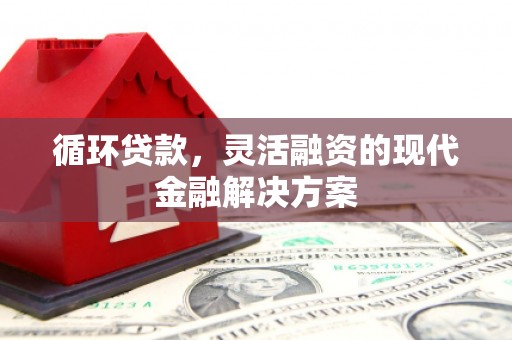 静乐循环贷款，灵活融资的现代金融解决方案