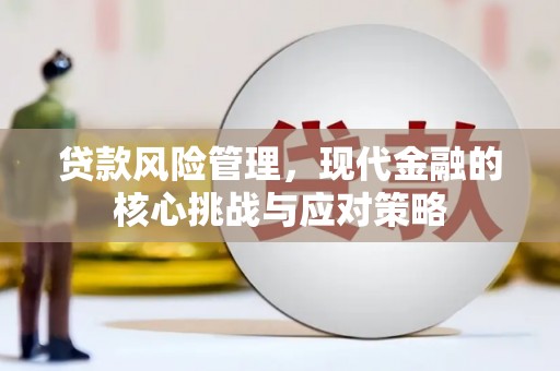 静乐贷款风险管理，现代金融的核心挑战与应对策略