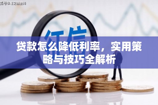 静乐贷款怎么降低利率，实用策略与技巧全解析