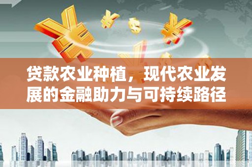 静乐贷款农业种植，现代农业发展的金融助力与可持续路径