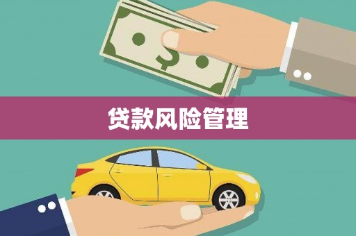 静乐贷款风险管理
