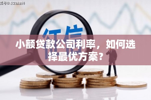静乐小额贷款公司利率，如何选择最优方案？
