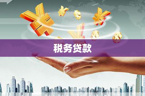 静乐税务贷款