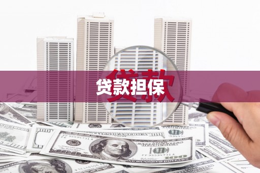 静乐贷款担保