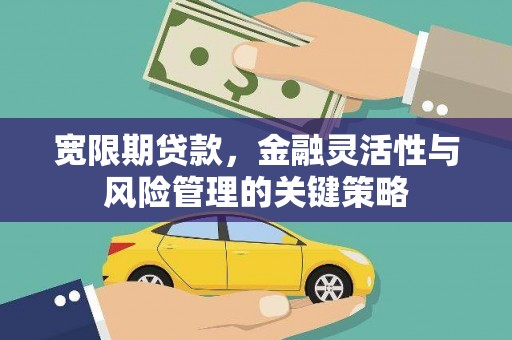 静乐宽限期贷款，金融灵活性与风险管理的关键策略