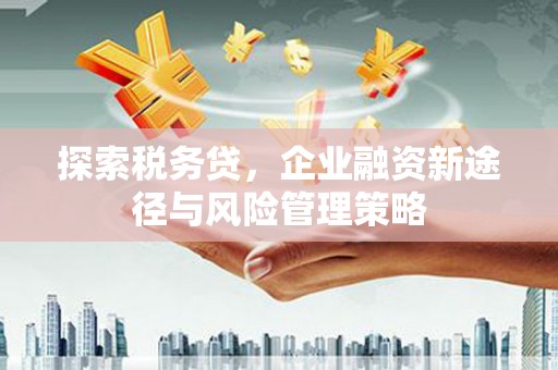 静乐探索税务贷，企业融资新途径与风险管理策略