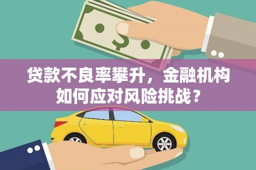 静乐贷款不良率攀升，金融机构如何应对风险挑战？