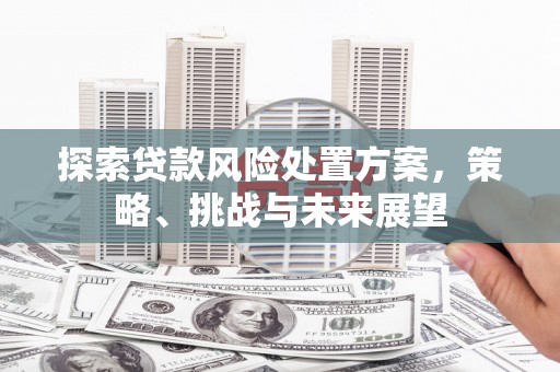 静乐探索贷款风险处置方案，策略、挑战与未来展望