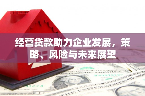 静乐经营贷款助力企业发展，策略、风险与未来展望