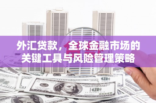静乐外汇贷款，全球金融市场的关键工具与风险管理策略