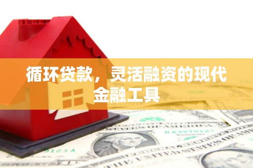 静乐循环贷款，灵活融资的现代金融工具