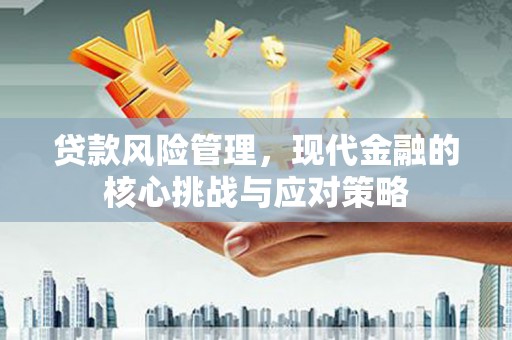 静乐贷款风险管理，现代金融的核心挑战与应对策略