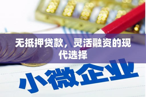 静乐无抵押贷款，灵活融资的现代选择