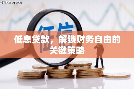 静乐低息贷款，解锁财务自由的关键策略
