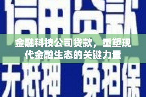 静乐金融科技公司贷款，重塑现代金融生态的关键力量