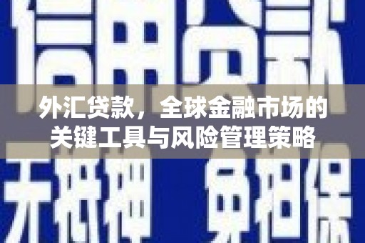 静乐外汇贷款，全球金融市场的关键工具与风险管理策略