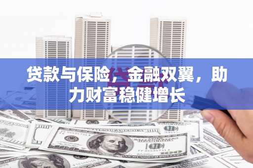 静乐贷款与保险，金融双翼，助力财富稳健增长