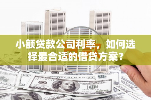 静乐小额贷款公司利率，如何选择最合适的借贷方案？