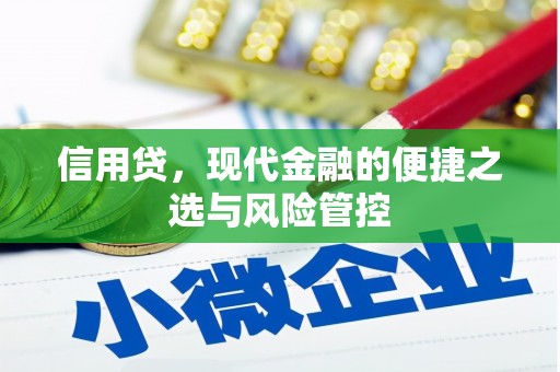 静乐信用贷，现代金融的便捷之选与风险管控