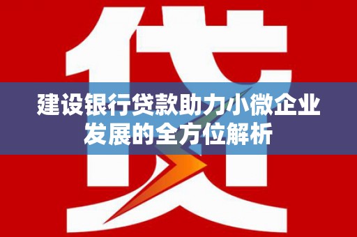 静乐建设银行贷款助力小微企业发展的全方位解析