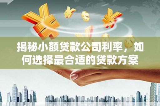 静乐揭秘小额贷款公司利率，如何选择最合适的贷款方案