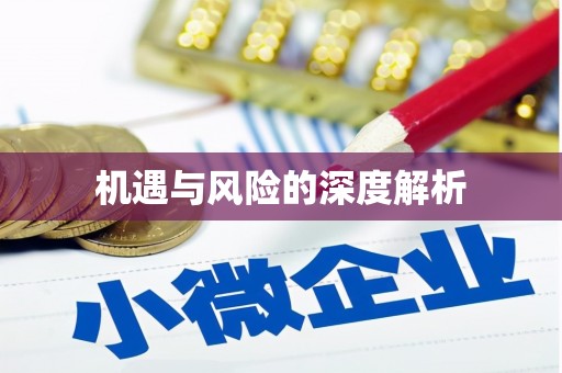 静乐机遇与风险的深度解析