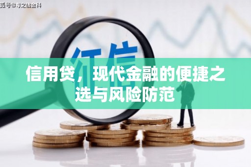 静乐信用贷，现代金融的便捷之选与风险防范